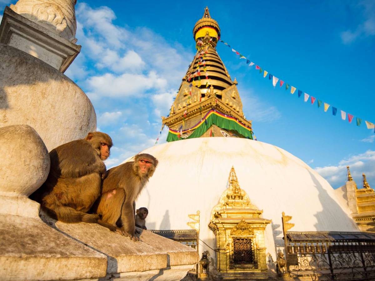 Nepal Tours